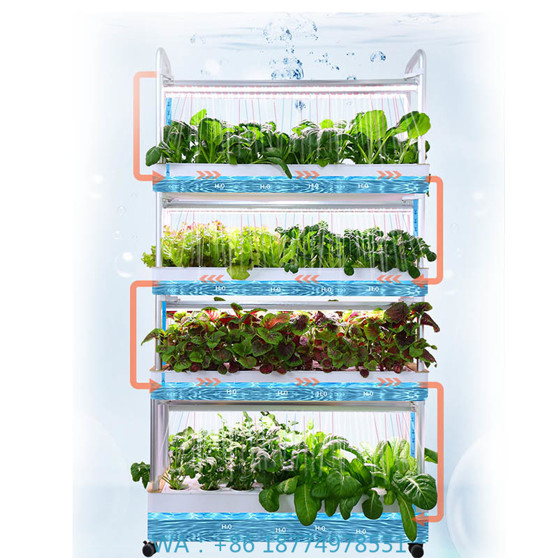 ydroponic Planting System Smar - огляд і ціна Home Automation System Diy