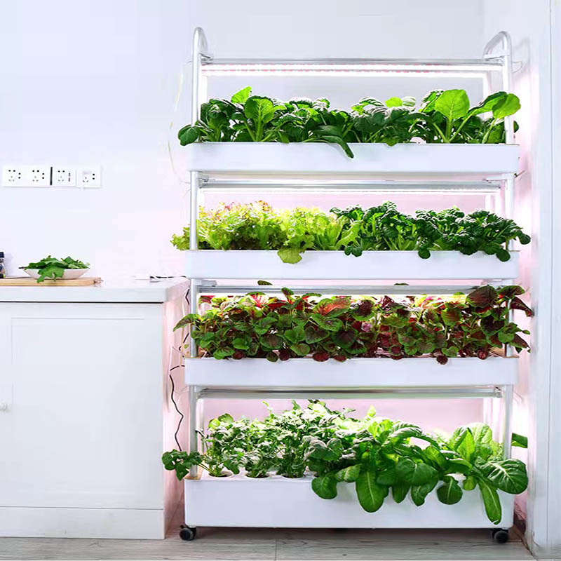 ydroponic Planting System Smar - огляд і ціна Home Automation System Diy
