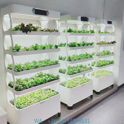 Hydroponic Automated Grow Syst - огляд і ціна Home Automation System Diy